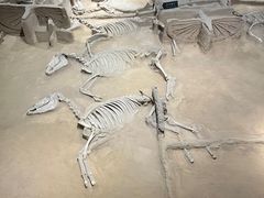 -洛阳周王城天子驾六博物馆