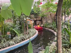 -南宫五洲植物乐园