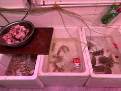 -红灯笼龙凤饭店(宁波老字号店)