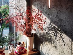 -Infica Coffee