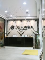 -DEM缔怡美科技美容