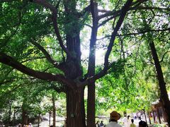 -香山公园-东宫门售票处