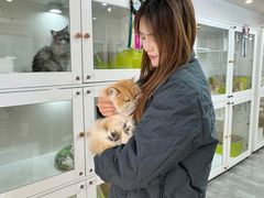 -青奢宠物·青奢猫舍