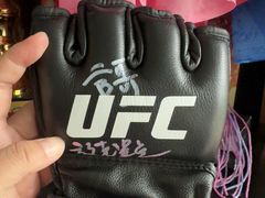 -花环泰拳·勒德斯拉泰拳馆(静安店)