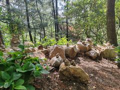 -苍山感通索道