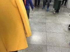 -兔途体检(十里堡青年路店)