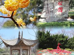 -中山公园