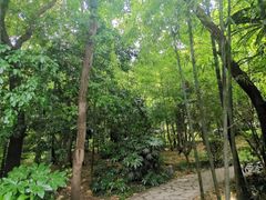 -南京老山国家森林公园