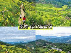 -篁岭景区