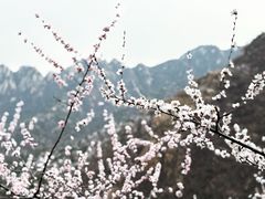 -北京凤凰岭