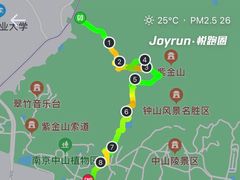 -紫金山山顶公园