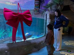 -沈阳海洋探索中心