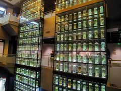 -广东中医药博物馆