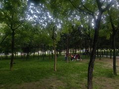 -渭滨公园