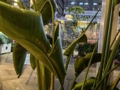 -Wagas沃歌斯(杭州黄龙万科店)