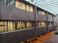 -香港大学