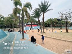 -宝安西湾红树林湿地公园