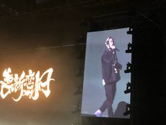 -南京奥林匹克体育中心-体育馆