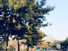 -钓鱼台国宾馆
