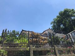 -杭州西湖风景名胜区-满觉陇四眼井