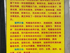 -鸿渡渔庄·特色鸭咀鱼