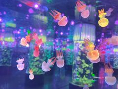 -邯郸海洋世界
