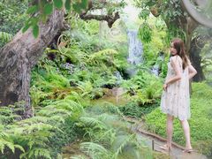 -Chom Cafe and Restaurant
