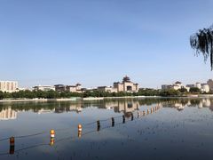 -莲花池公园