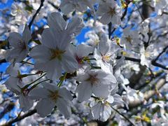 -江南大学(蠡湖校区)