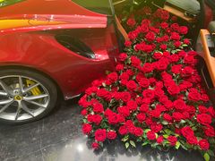 -莲花跑车(国贸商城店)