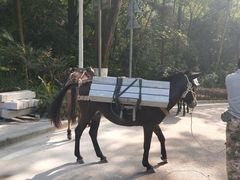 -火炉山森林公园