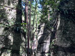 -梭布垭石林景区