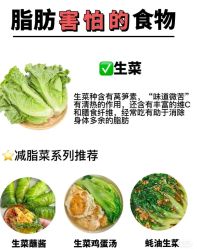 -Fundi张玉珊修身堂·indiba·BTL科技瘦身