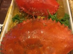 -茉莉.Red Crab