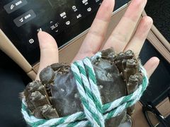 -四道口水产市场