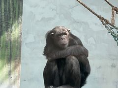 -宁波野生动物园