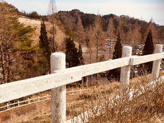 -神户市立六甲山牧场
