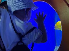 -多彩贵州城极地海洋世界