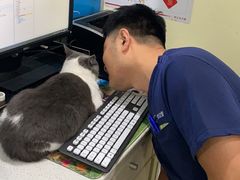 -美迦爱-牙专科·兔科·骨科诊疗中心(北苑店)