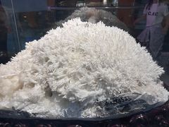 -河南自然博物馆