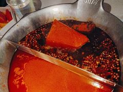 -九鼎轩脆毛肚火锅(金坛吾悦广场店)