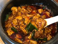 -陈麻婆豆腐总店