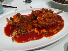 松鼠-蝶园·装修中(BFC外滩金融中心店)