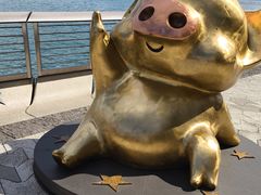 -星光大道