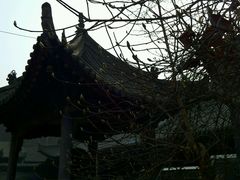 -大学习巷清真寺