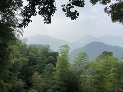 -莫干山风景区