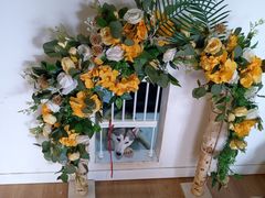 -Husky Go! 哈士奇体验馆·宠物咖啡厅狗咖