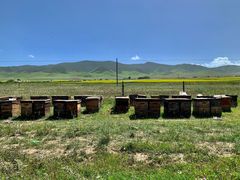 -青海湖国家重点风景名胜区