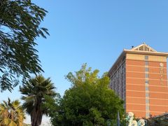 -灵玲国际马戏城