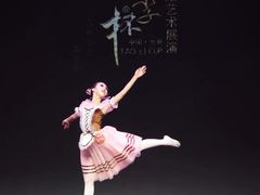 -中央芭蕾舞团·中芭艺蕾(酒仙桥明星校区)